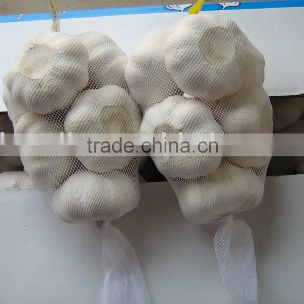 Chinese Garlic