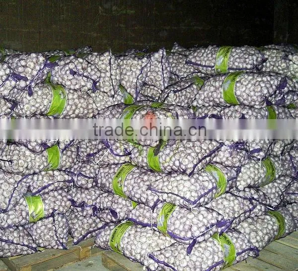 Fresh Vegetable( Carrot ,giner,onion,potato,garlic,taro photo-3