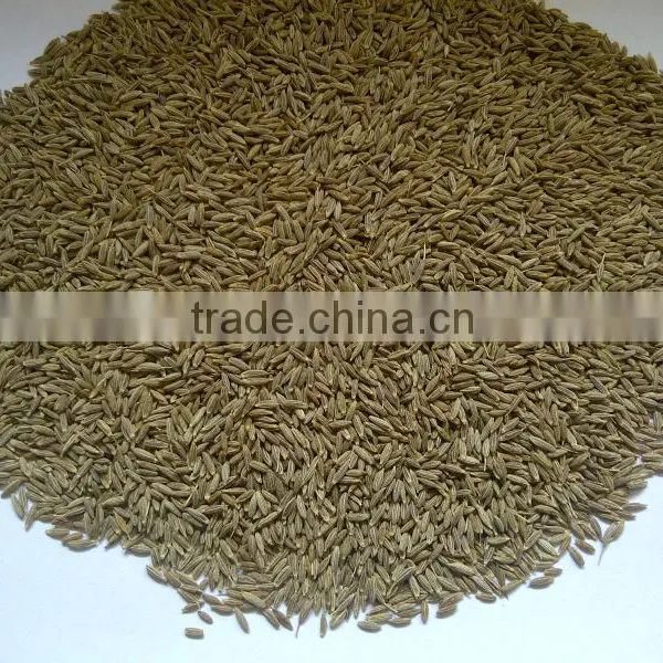 Cumin Seeds photo-3