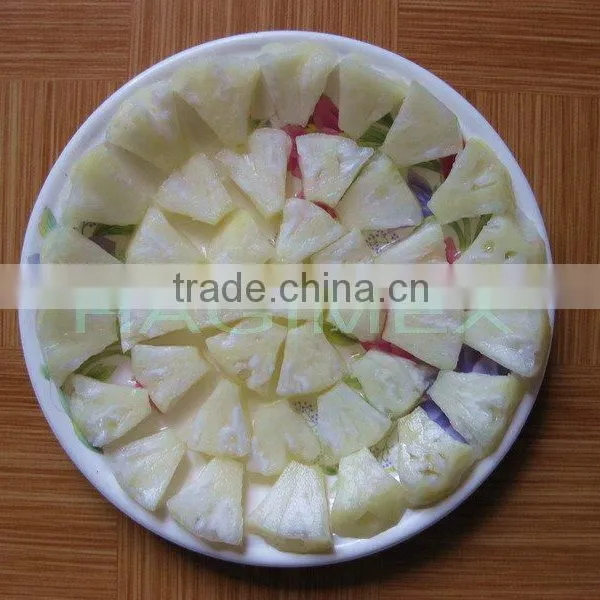 BEST SELLING VIETNAM CANNED PINEAPPLE CHUNKS / SLICES IN SYRUP (20oz/580ml and 30oz/850ml) photo-5