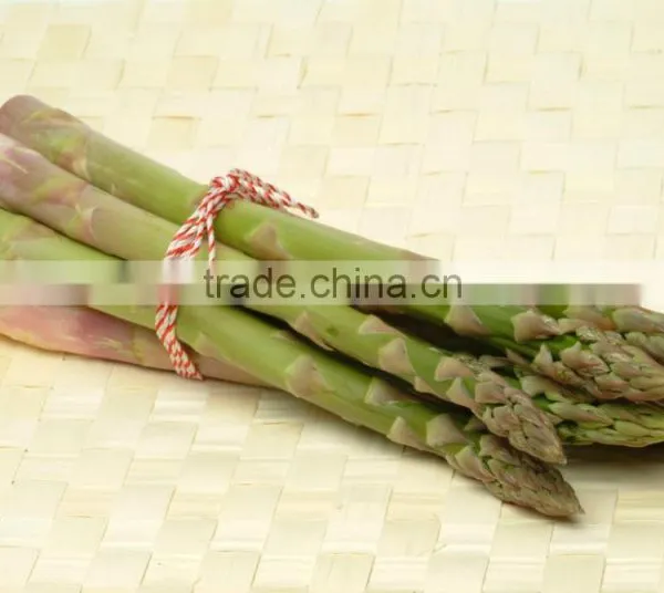 Frozen Asparagus, IQF Asparagus photo-5