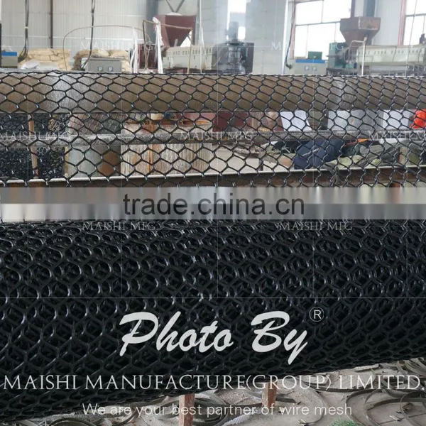 Plastic Mesh Black photo-5