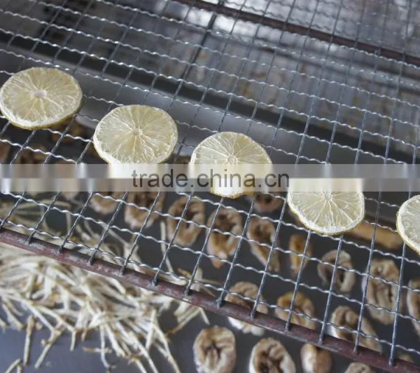 Shenghui Professional and Affordable Small Fruit Freeze Drying Machine/fish Drying Machine/food Drying Machine photo-6