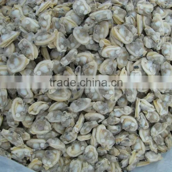 Seafood Frozen Canned Baby Clam photo-2