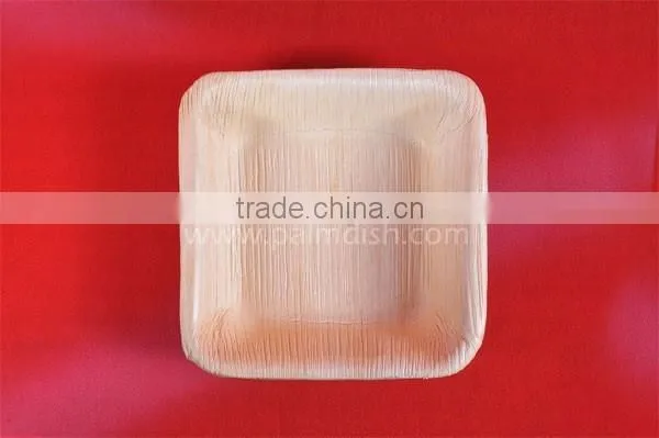 Biodegradable Tableware photo-2