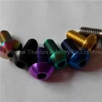 Titanium Screws