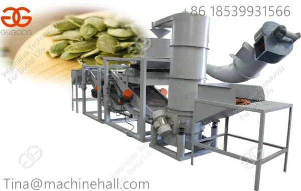 Hot Selling Pumpkin Seeds Hulling Machine for Sale China Supplier With Low Price photo-2
