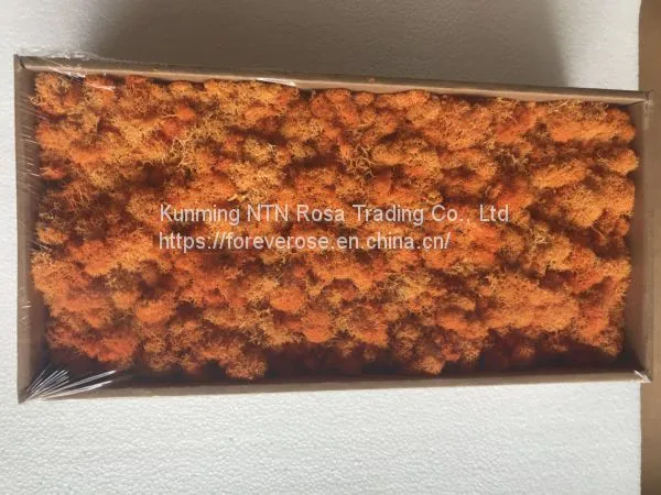 Premium Quality 100% Natural Moss Wreath Wholesale
