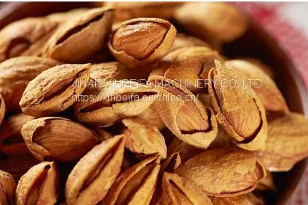 Almonds Drying Machine photo-4