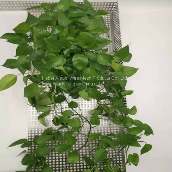 High Quality Stainless Steel Hole Galvanized Perforated Metal Mesh photo-2
