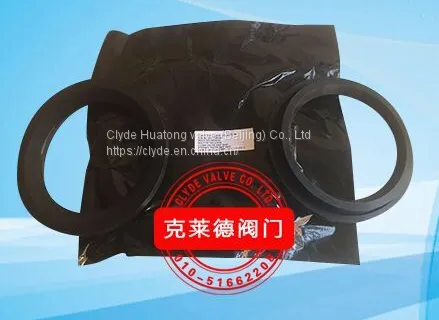 CLYDE Insert seal for dome valve DN100