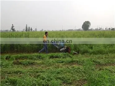 Mingyue Factory Price Agricultural Machinery Mini Combine Harvester Price in India photo-3