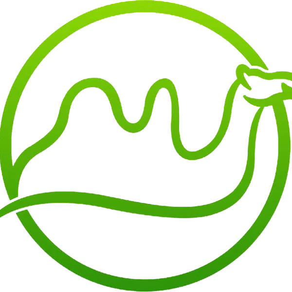 Qianqian Technology Co,.Ltd
