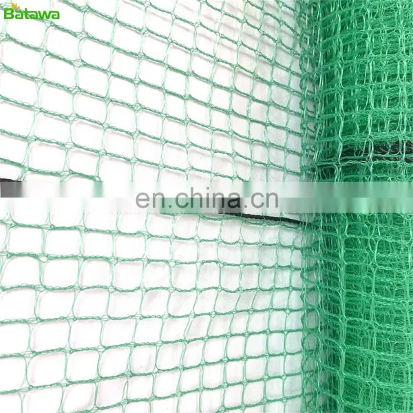 Green Color Japanese Style Commercial Chicken Fence Netting With Poles photo-4
