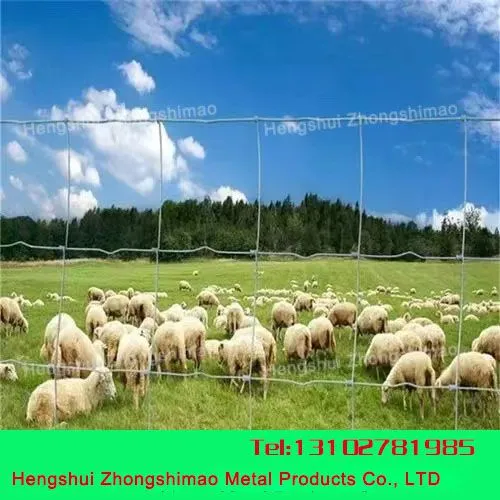 Wire Mesh for Grassland Wire Mesh Fence photo-2