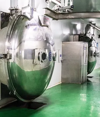 Industrial Freeze Dryer for Fruit and Vegetable on Sale Freeze-dried Mangoes Freeze-dried Raspberries Production Line photo-6