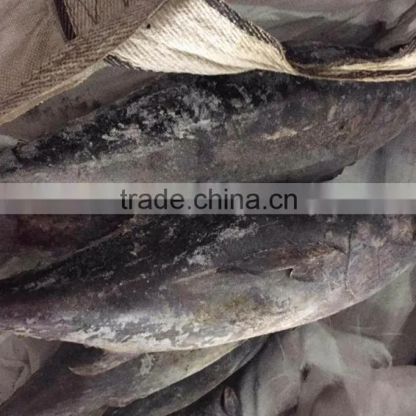 Frozen Yellowfin Tuna photo-5
