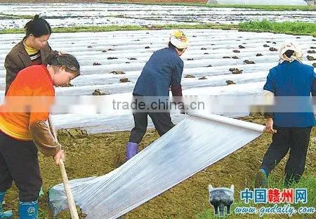 PP Agriculture Non-woven Crop Cover Factory photo-6