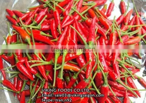 Fresh/Dried/Frozen/Powder Red Hot Chili From Vietnam! photo-2