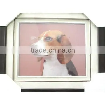 3D Picture photo-2