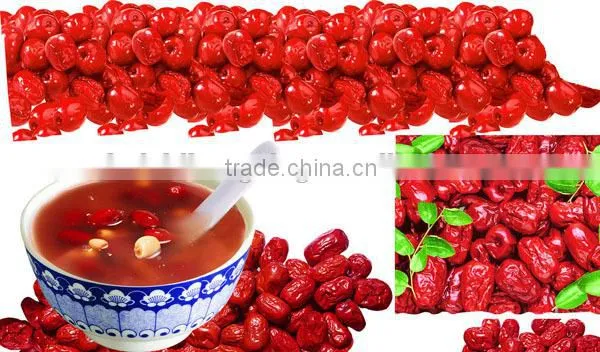 Jujube Chinese Red Dates Dried Jujube