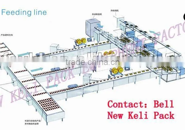 donut automatic packing machine( Feeding line)