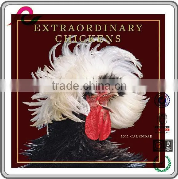 Extrordinary Chickens Double Month Printing Islamic Calendars photo-5