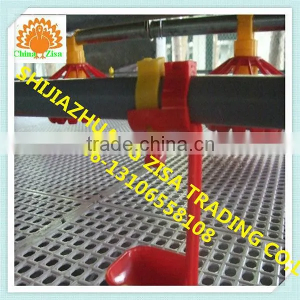 Free-ranging Chicken Poultry Water Drinking Nipple and Cups Equipment