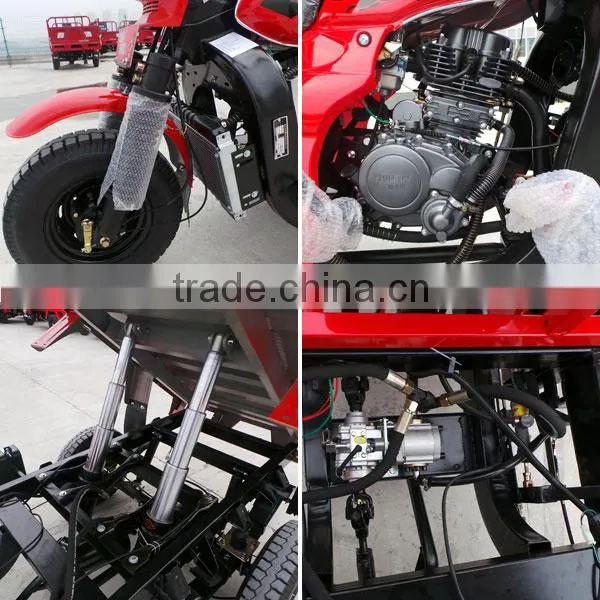 Hot Sale!!! 150cc 200cc 250cc 300cc CHINA SHINERAY CARGO TRICYCLE photo-3