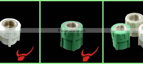 In General: Packaging Plastic Bags, Packing Cartons, Also According to Customer Demand.inner Tooth Direct photo-3