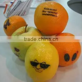 Fruit Printing Machine