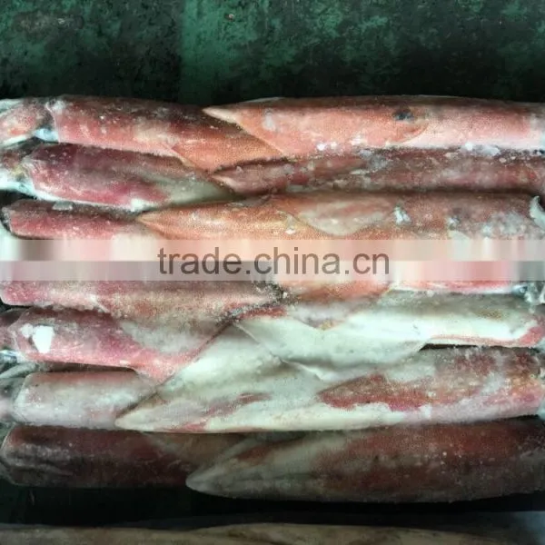 2016 Hot Sale Frozen China Loligo Whole Round for Sale
