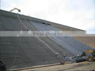 Good Quality Best Price Fish Farm Pond Liner HDPE Geomembrane photo-4