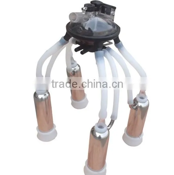 Factory Directly Cow Milking Machine With Stainless Steel Bucket photo-4