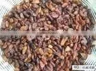 Offer Customs Clearance and Shipping Services for Fresh and Dried Fruits