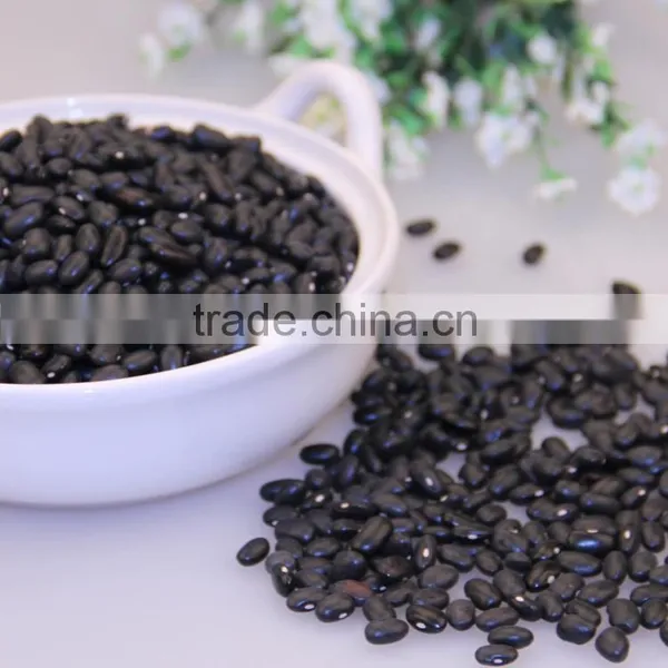 Hot Sale Black Soybean (Heidou) photo-2