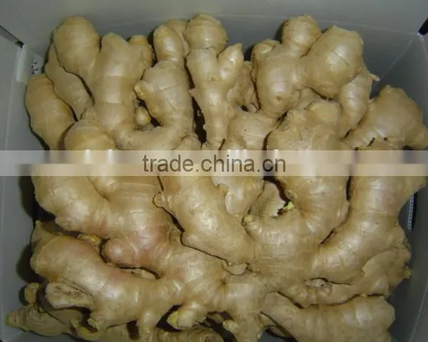 Fresh Dried Ginger photo-3