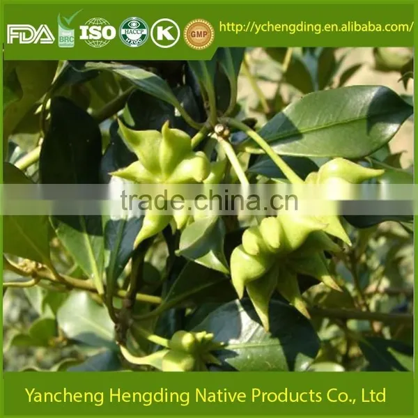 Factory Supply Natural Star Anise From Jiangsu of China/Whole Star Anise Good Quality and Big Quantity photo-4