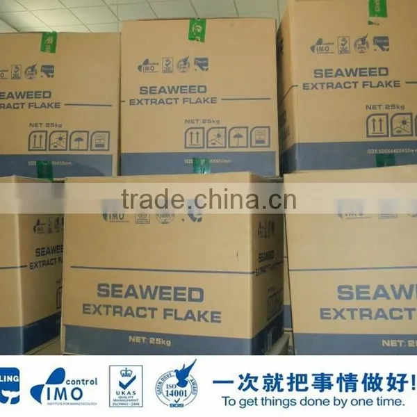 Seaweed Extract Fertilizer photo-5