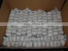 VIETNAM FRESH WHITE GARLIC OF NEW DROP 2016 photo-6
