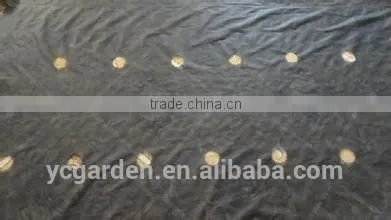 Black Weed Barrier Fabric/Anti Grass Cloth photo-3