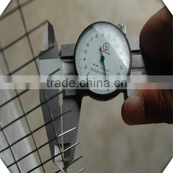 1*30m Hot Sale 1/4 Inch Galvanized Welded Wire Mesh for Sale photo-5