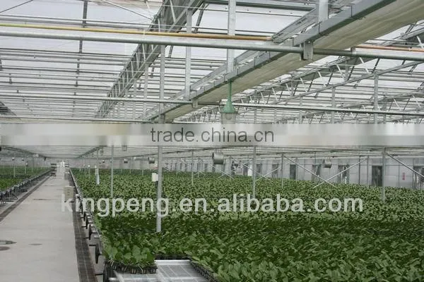 Venlo Roof Type Glass Greenhouse photo-3