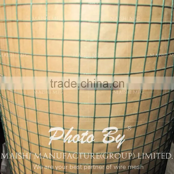 Green Color PVC Coated Wire Mesh photo-4