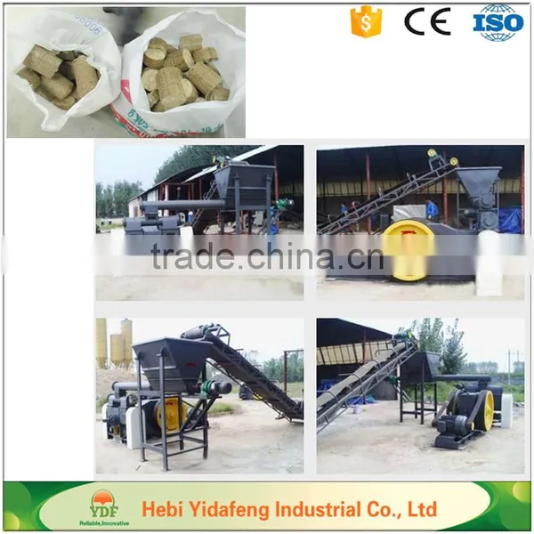 Export to Malaysia Wood EFB Screw Briquette Press Machine photo-6