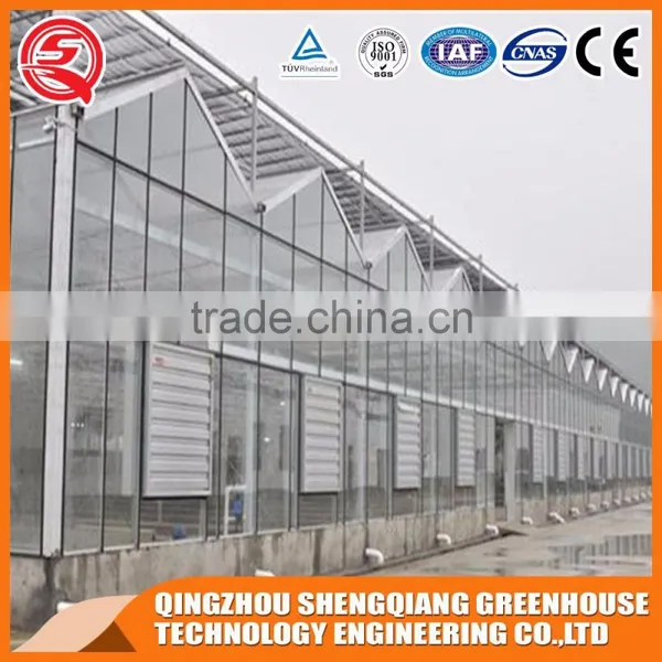 Agricultural Equipment Glass Greenhouses With Strong Wind Load Capacity photo-3