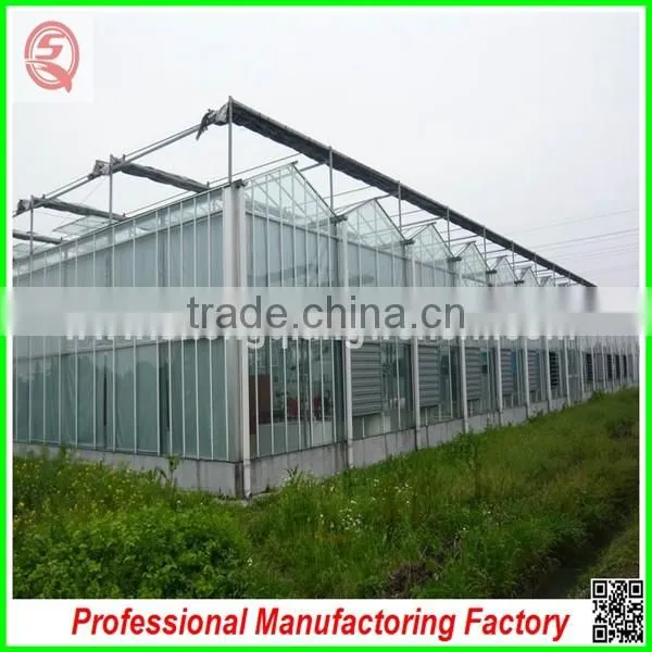Hot Sale 9.6m Multi-span Agriculture Glass Greenhouse Grow Tent for Planting photo-3
