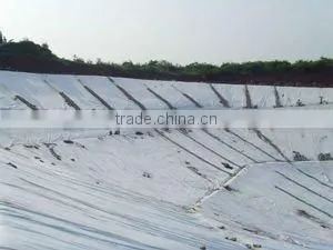 Hot Sale HDPE Geomembrane HDPE Sheet . photo-2