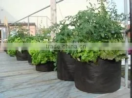 Hydroponics Nonwoven Fabric Pots photo-6