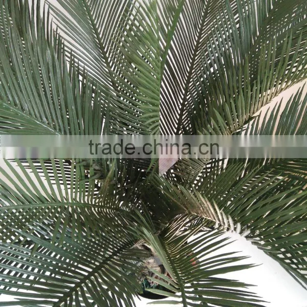 Decorative Sago Cycas Cycas Revoluta Artificial High Simulation Cycads Plant photo-5